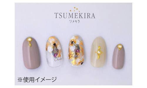 TSUMEKIRA (Tsumekira) nail seal Hanako produced 3 Chiffon fiore NN-HNK-103 1 sheet multi-color