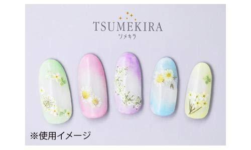 TSUMEKIRA (Tsumekira) nail seal Dried flowers (white color) NN-DFC-103 white one
