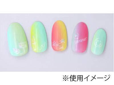 TSUMEKIRA (Tsumekira) nail seal summer icon white NN-SMI-101 white