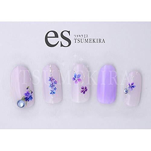 TSUMEKIRA es (Tsumekiraesu) TSUMEKIRA (Tsumekira) Nail seal es violet (violet) ES-VIO-101 multicolour