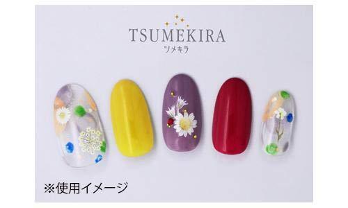 TSUMEKIRA (Tsumekira) nail seal Dried flowers (white color) NN-DFC-103 white one