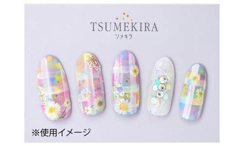 TSUMEKIRA (Tsumekira) nail seal Dried flowers (white color) NN-DFC-103 white one