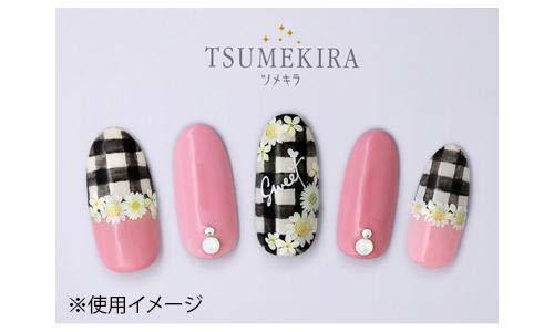 TSUMEKIRA (Tsumekira) nail seal Dried flowers (white color) NN-DFC-103 white one