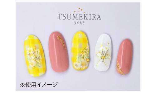 TSUMEKIRA (Tsumekira) nail seal Dried flowers (white color) NN-DFC-103 white one