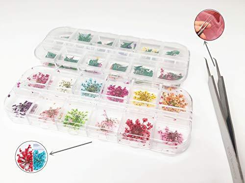Popularity pressed flower resin nail 60 sheets dried flower nail pressed flowers fine nail art parts resin art and nail material