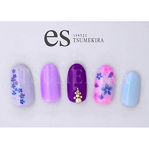 TSUMEKIRA es (Tsumekiraesu) TSUMEKIRA (Tsumekira) Nail seal es violet (violet) ES-VIO-101 multicolour