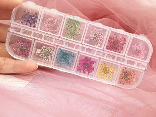 Popularity pressed flower resin nail 60 sheets dried flower nail pressed flowers fine nail art parts resin art and nail material