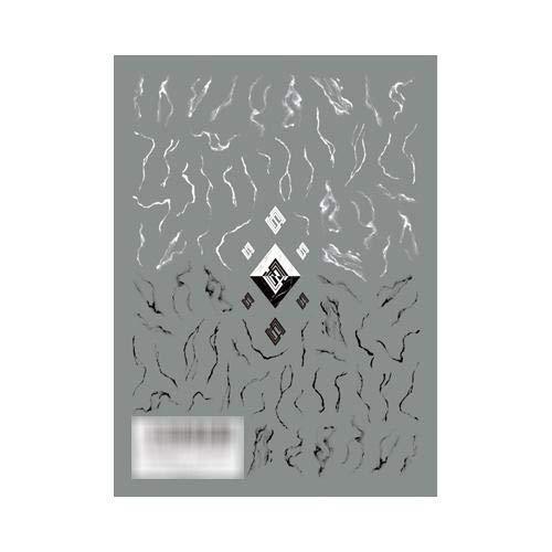 TSUMEKIRA (Tsumekira) nail seal CassieHuang produce 1 Marbling NN-CAS-101 1 sheet multi-color