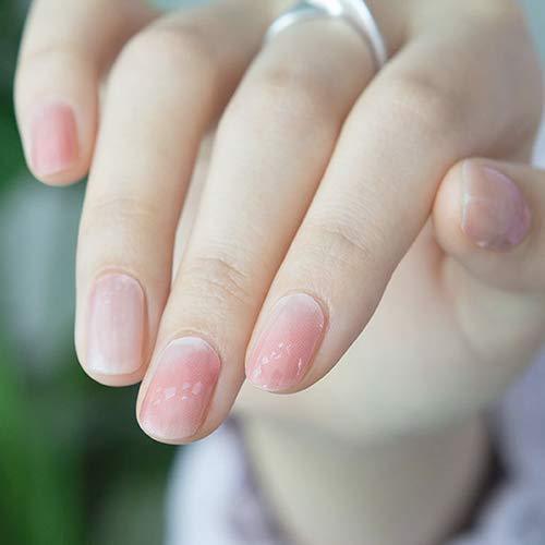 [GELATO FACTORY. ] Nail seal [cream pink candy] put only manicure gel nails nail tip nail seal