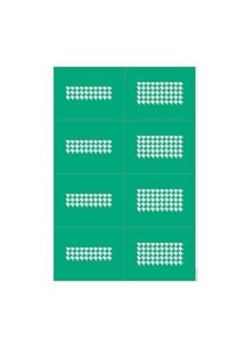 Eajeru masking plover