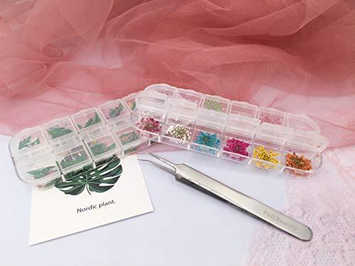 Popularity pressed flower resin nail 60 sheets dried flower nail pressed flowers fine nail art parts resin art and nail material