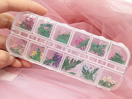 Popularity pressed flower resin nail 60 sheets dried flower nail pressed flowers fine nail art parts resin art and nail material