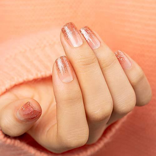 [GELATO FACTORY. ] Nail seal [champagne Coral] put only manicure gel nails nail tip nail seal ...