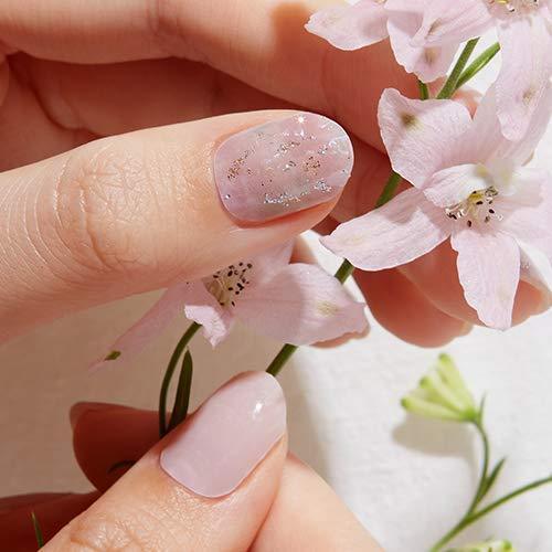 [GELATO FACTORY. ] Nail seal [pink purple pearl oysters] put only manicure gel nails nail tip nail seal