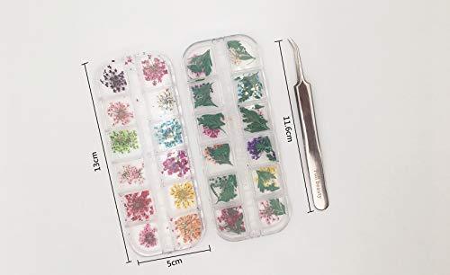 Popularity pressed flower resin nail 60 sheets dried flower nail pressed flowers fine nail art parts resin art and nail material