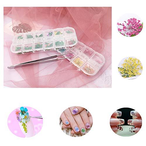 Popularity pressed flower resin nail 60 sheets dried flower nail pressed flowers fine nail art parts resin art and nail material