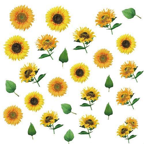 Tsumekira Nail seal Flower photo sunflower yellow NP-HMW-101