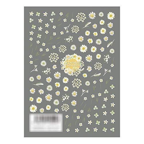 TSUMEKIRA (Tsumekira) nail seal Dried flowers (white color) NN-DFC-103 white one