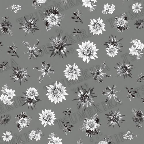 TSUMEKIRA (Tsumekira) Nail seal black and white shadow flower NN-WBF101 multi-color