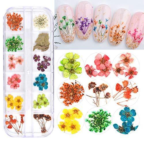 1 box dry flower pattern natural deco material nail parts for pressed flowers 12 colors gel nail, such as race