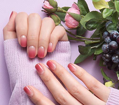 24 sheets gelato factory nail fit CS020 cassis syrup