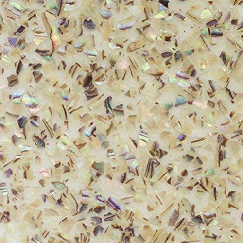 SHELL JAPAN MZ-1 natural mosaic