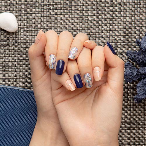 [GELATO FACTORY. ] Premium Nail seal [Deep Blue Shell just put 100% gel polish manicure gel nails nail chip seal nail parts self-nail